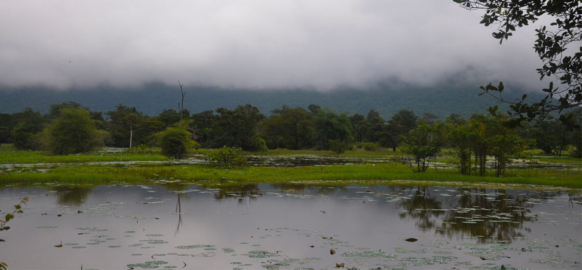 Takeo Climate